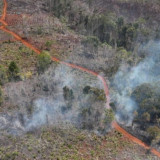 Kemenhut Tetapkan Dua Perusahaan Jadi Tersangka Kasus Karhutla di Kalimantan, Salah Satunya PMA