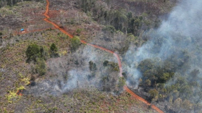 Kemenhut Tetapkan Dua Perusahaan Jadi Tersangka Kasus Karhutla di Kalimantan, Salah Satunya PMA